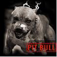 Avatar Pitbullek