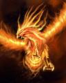 Avatar PHOENIX