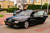alfa 166