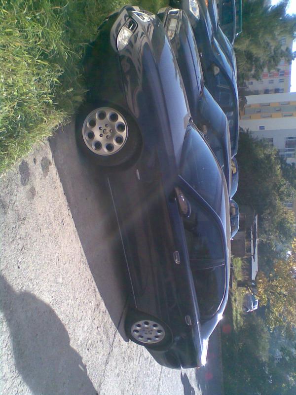 Zdjęcie065