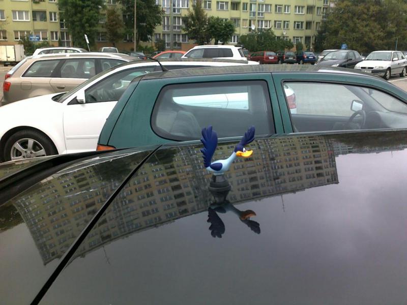 Struś
