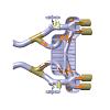 Kliknij obrazek, aby uzyskać większą wersję

Nazwa:	BMW M3.M4 bypass valve inside.jpg
Wyświetleń:	14
Rozmiar:	37.9 KB
ID:	236032