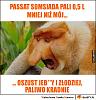 Kliknij obrazek, aby uzyskać większą wersję

Nazwa:	passat somsiada.jpg
Wyświetleń:	32
Rozmiar:	95.5 KB
ID:	254196