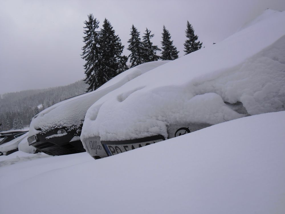 Alfa R.1000 Czarna Gora 7.01.2012.