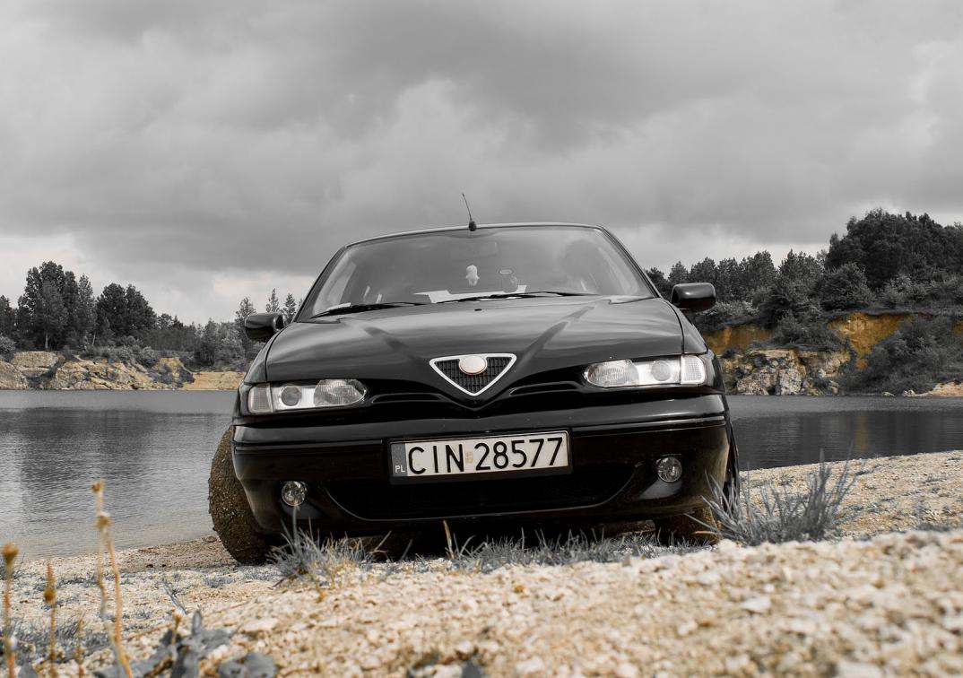 alfa (31)