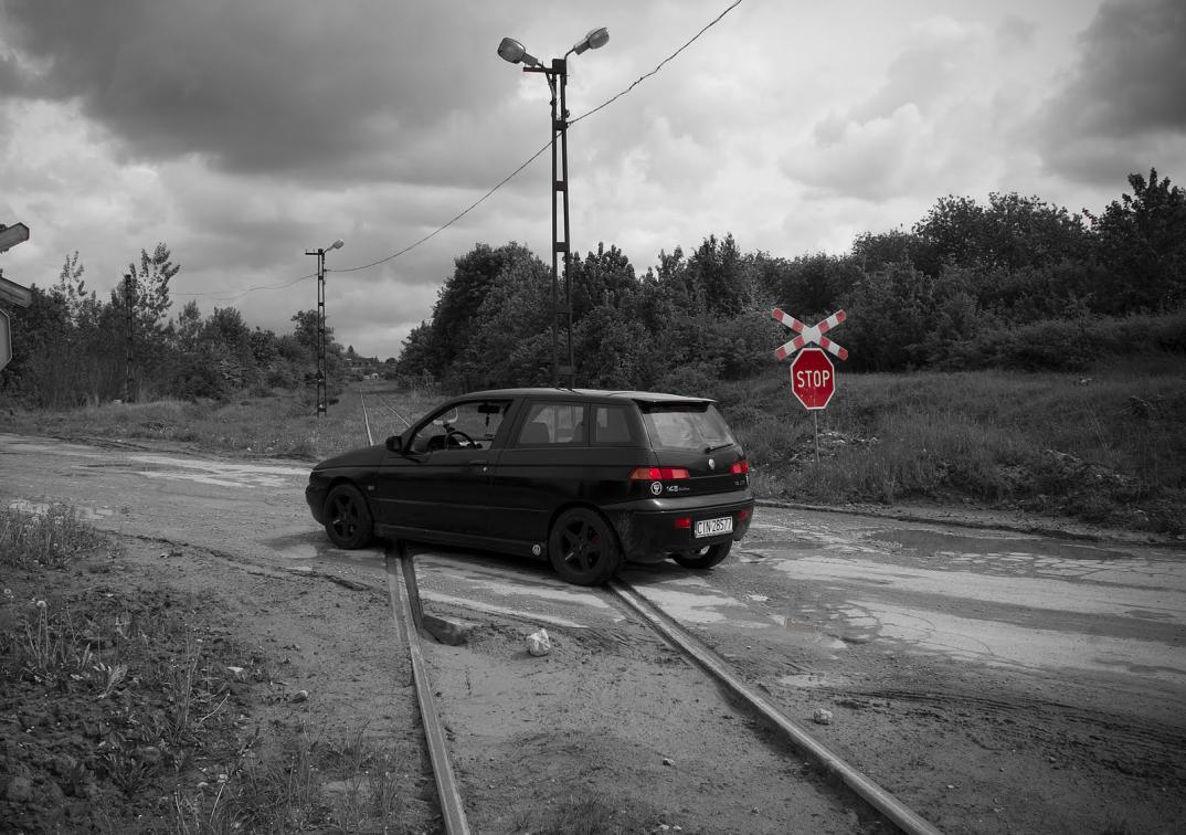alfa (45)