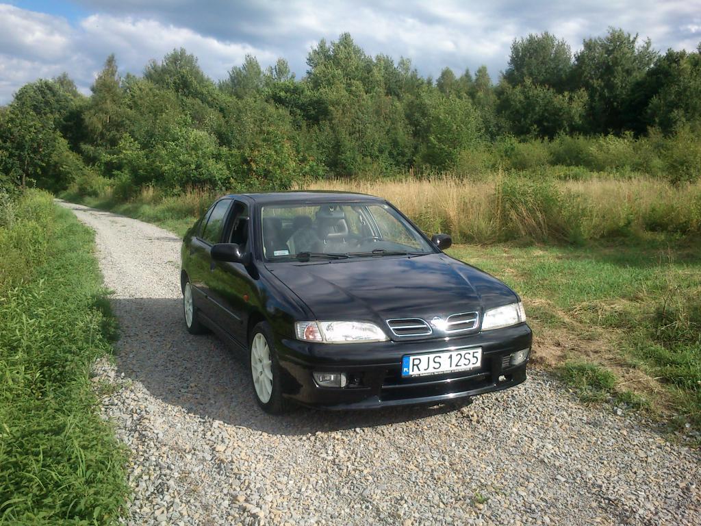 Primera GT