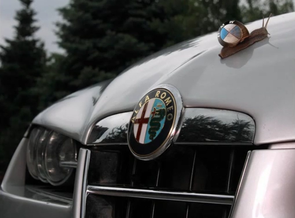 alfa romeo