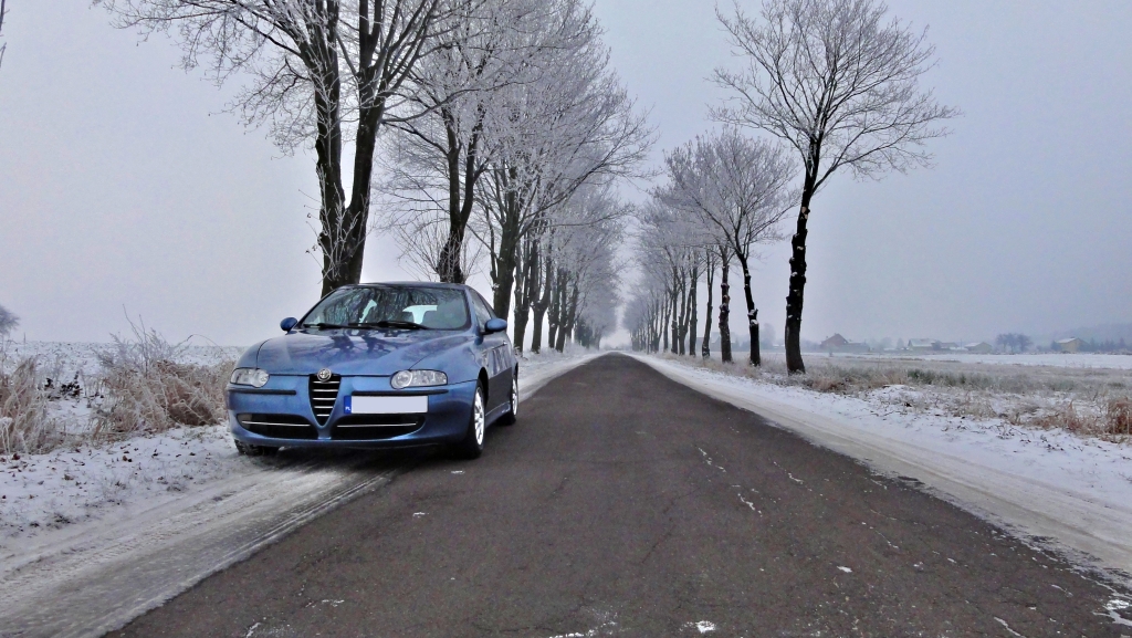 Winter session (2)