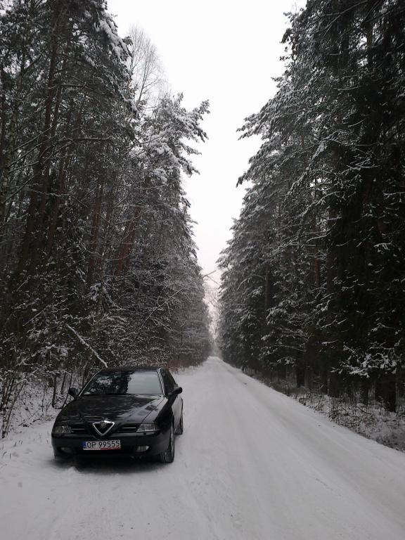 Alfa zimową porą ;)