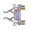 Kliknij obrazek, aby uzyskać większą wersję

Nazwa:	BMW M3.M4 bypass valve inside.jpg
Wyświetleń:	1
Rozmiar:	37.9 KB
ID:	236032