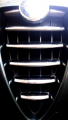 Avatar DenV
