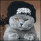 niewdziecznik's Avatar