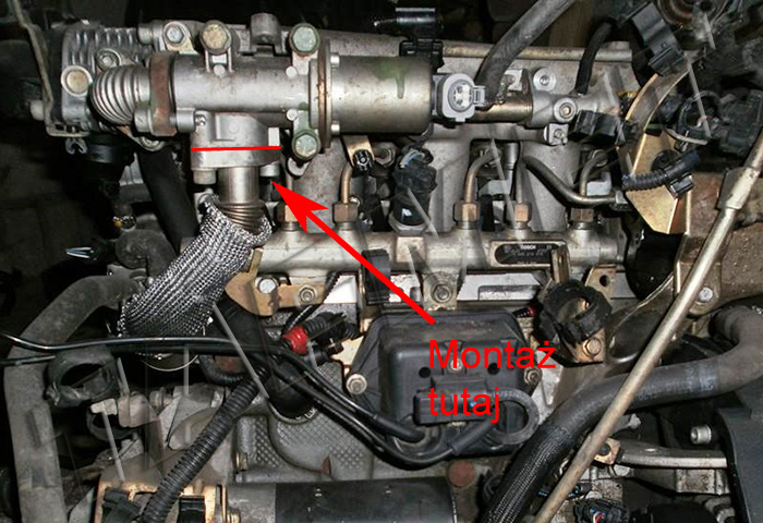 Zaślepienie EGR - Strona 101 alfa romeo 156 jtd wiring diagram 